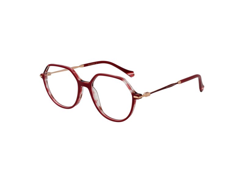 Ana Hickmann AH 6480 H02 52 Women glasses