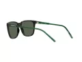 Arnette Cortex AN 4291 27539A 57 Men sunglasses