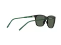 Arnette Cortex AN 4291 27539A 57 Men sunglasses