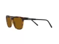 Arnette Cortex AN 4291 277083 57 Men sunglasses