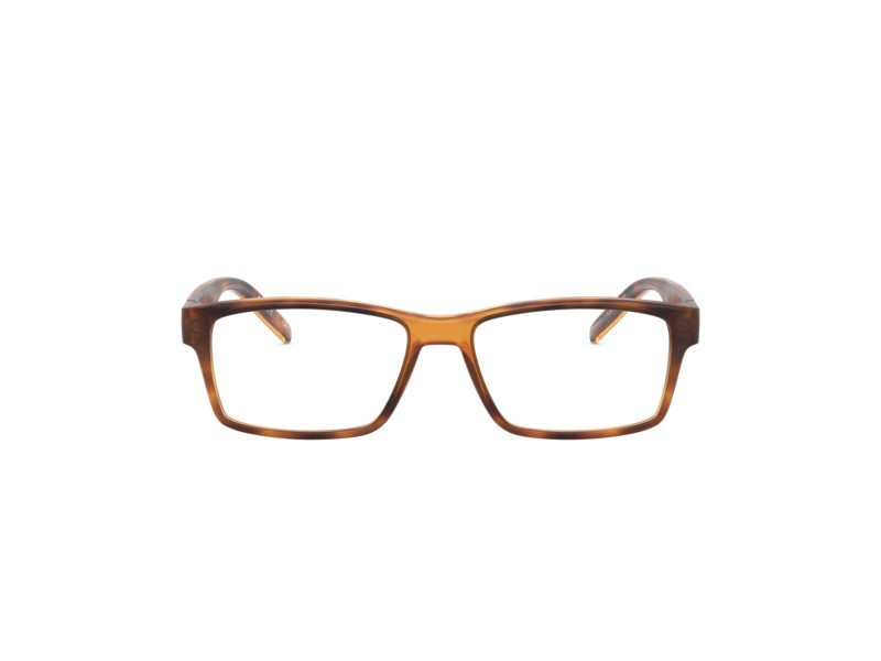 Arnette Leonardo AN 7179 2675 54 Men glasses