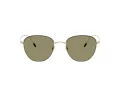 Giorgio Armani AR 6048 30132A 51 Men sunglasses