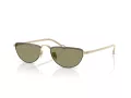 Giorgio Armani AR 6166J 30022A 53 Men sunglasses