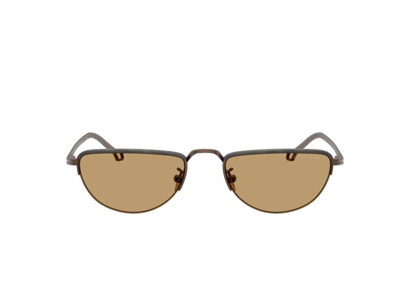 Giorgio Armani AR 6166J 300673 53 Men sunglasses