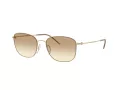 Giorgio Armani AR 6168 300213 54 Men sunglasses