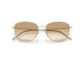 Giorgio Armani AR 6168 300213 54 Men sunglasses