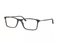 Giorgio Armani AR 7037 5089 53 Men glasses