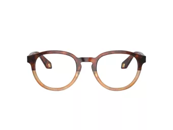 Giorgio Armani 7248 6034 50 Men glasses