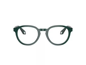 Giorgio Armani AR 7248 6044 50 Men glasses