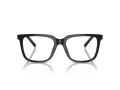 Giorgio Armani AR 7252U 5875 53 Men glasses