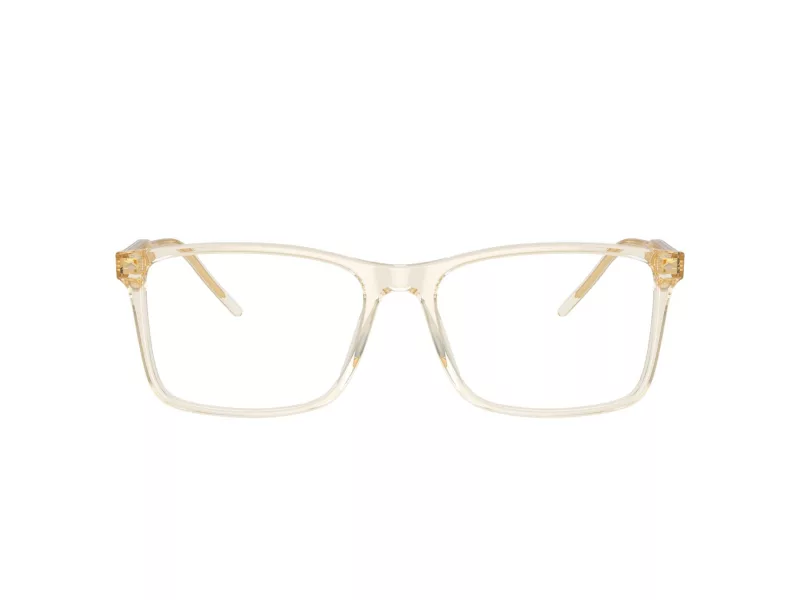 Giorgio Armani AR 7258 6077 57 Men glasses