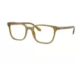 Giorgio Armani AR 7265 6172 55 Men glasses