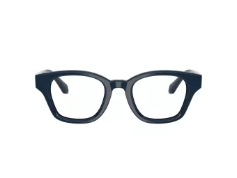 Giorgio Armani AR 7274 6223 49 Men glasses