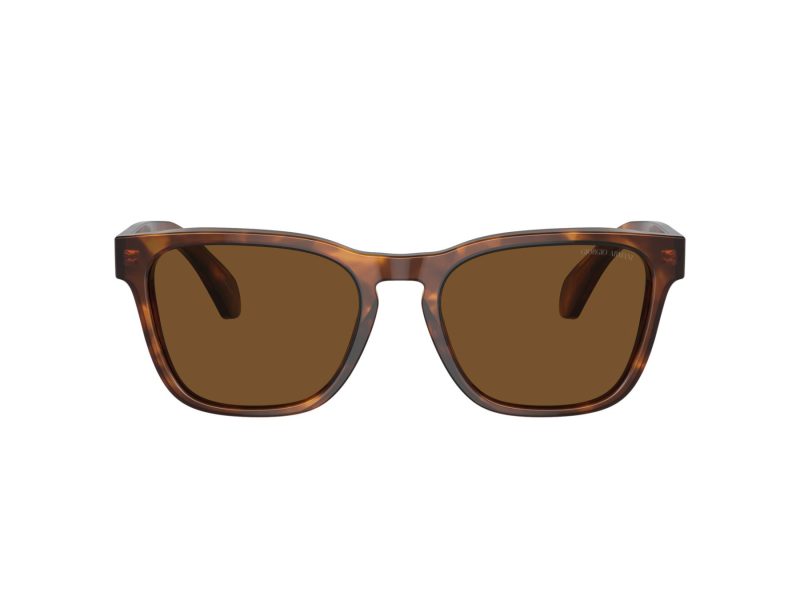 Giorgio Armani AR 8155 598857 55 Men sunglasses