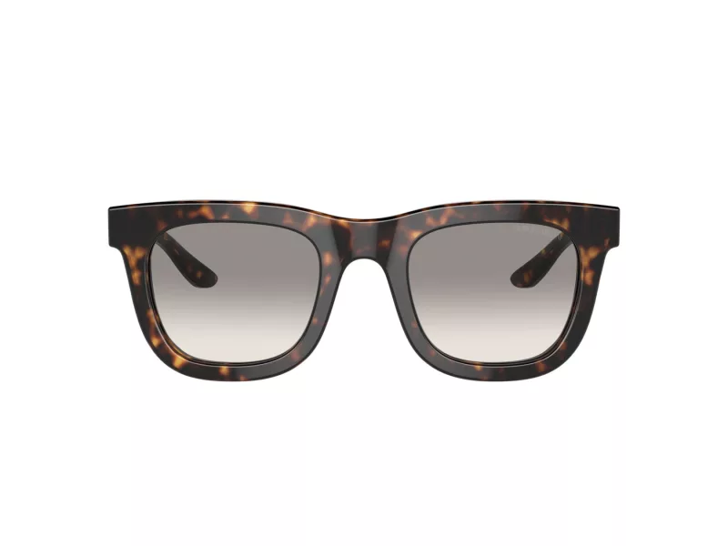 Giorgio Armani AR 8171 587932 49 Men sunglasses