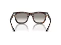 Giorgio Armani AR 8171 587932 49 Men sunglasses