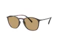 Giorgio Armani AR 8186U 508973 52 Men sunglasses