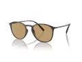 Giorgio Armani AR 8186U 508973 52 Men sunglasses