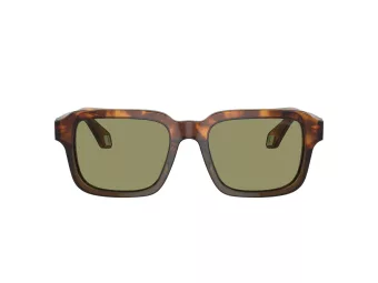 Giorgio Armani AR 8194U 598814 53 Men sunglasses