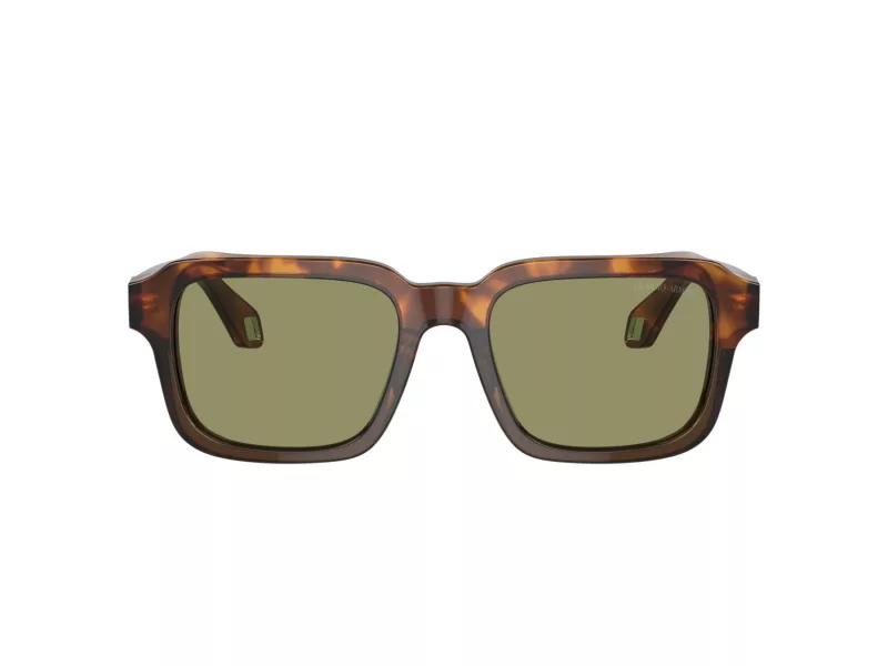 Giorgio Armani AR 8194U 598814 53 Men sunglasses