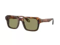 Giorgio Armani AR 8194U 598814 53 Men sunglasses