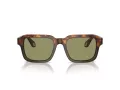 Giorgio Armani AR 8194U 598814 53 Men sunglasses