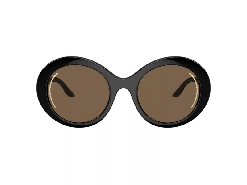 Giorgio Armani AR 8204 500173 53 Women sunglasses