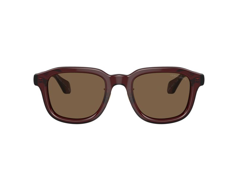 Giorgio Armani AR 8206 606273 51 Men sunglasses