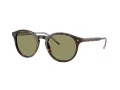 Giorgio Armani AR 8211 587914 52 Men sunglasses