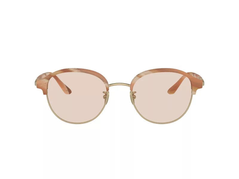 Giorgio Armani AR 8215 6067M4 52 Men sunglasses