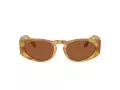 Giorgio Armani AR 8216 597973 51 Men sunglasses