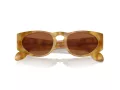 Giorgio Armani AR 8216 597973 51 Men sunglasses