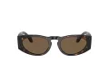 Giorgio Armani AR 8216 612473 51 Men sunglasses
