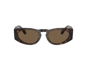 Giorgio Armani AR 8216 612473 51 Men sunglasses