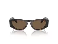 Giorgio Armani AR 8216 612473 51 Men sunglasses