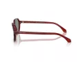 Giorgio Armani AR 8220 617056 52 Men sunglasses