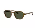 Giorgio Armani AR 8220 617231 52 Men sunglasses