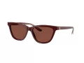 Giorgio Armani AR 8221 5955C5 55 Women sunglasses