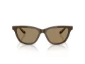 Giorgio Armani AR 8221 595753 55 Women sunglasses