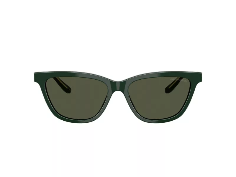 Giorgio Armani AR 8221 617331 55 Women sunglasses