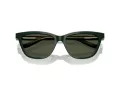 Giorgio Armani AR 8221 617331 55 Women sunglasses