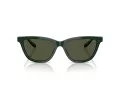 Giorgio Armani AR 8221 617331 55 Women sunglasses