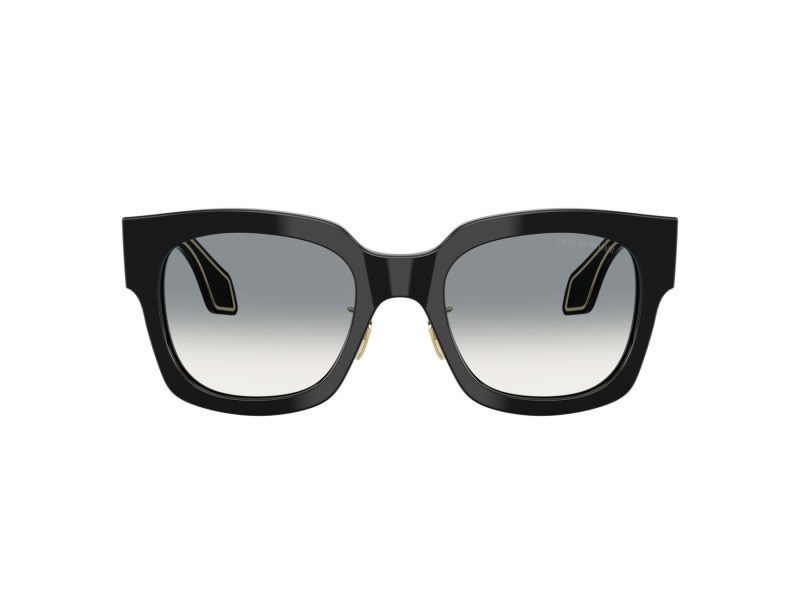 Giorgio Armani AR 8223 500111 51 Women sunglasses