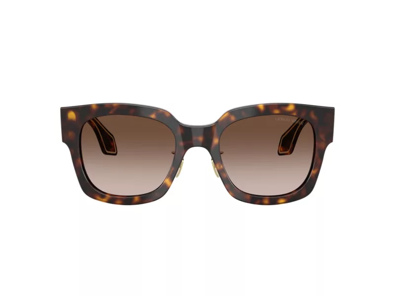Giorgio Armani AR 8223 502613 51 Women sunglasses