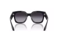 Giorgio Armani AR 8223 61608G 51 Women sunglasses