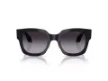 Giorgio Armani AR 8223 61608G 51 Women sunglasses
