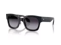 Giorgio Armani AR 8223 61608G 51 Women sunglasses