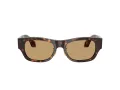 Giorgio Armani AR 8224 502673 52 Men sunglasses
