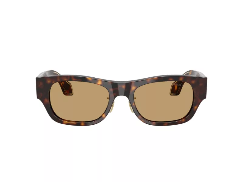 Giorgio Armani AR 8224 502673 52 Men sunglasses