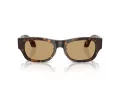 Giorgio Armani AR 8224 502673 52 Men sunglasses